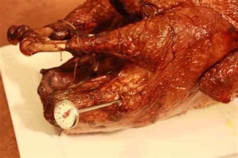 turkey gas grill temperature